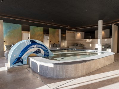 Indoor pool with dolphin slide and lounge area