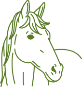 Gezeichnetes grünes Pferdeportrait mit Mähne