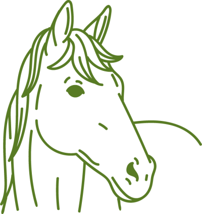 Ritratto di cavallo verde disegnato con criniera