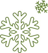 Zwei grüne Schneeflocken im gezeichneten Stil