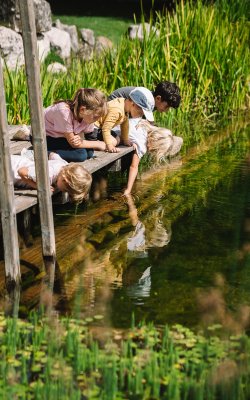 Bambini seduti su un pontile che guardano nell'acqua di uno stagno con piante verdi