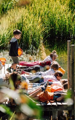 Kinder entdecken Natur am Steg bei hohem Schilf und Teich