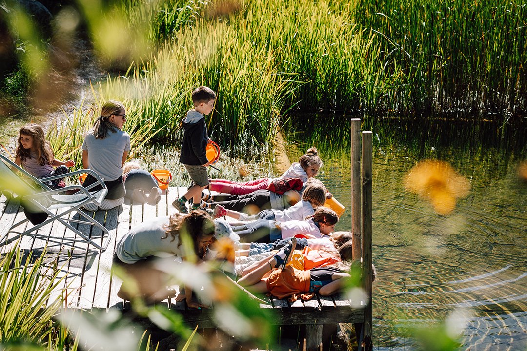 Kinder entdecken Natur am Steg bei hohem Schilf und Teich