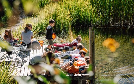 Children exploring nature on a dock near reeds and pond