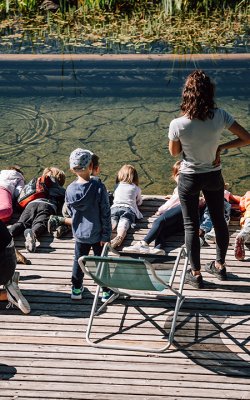 Gruppo di bambini osserva la natura su un molo di legno presso uno stagno