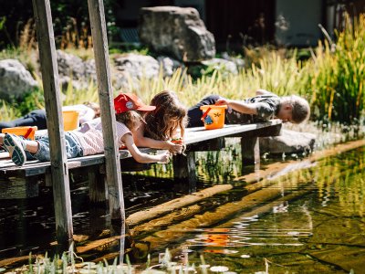 Bambini esplorano l'acqua con lente dal pontile