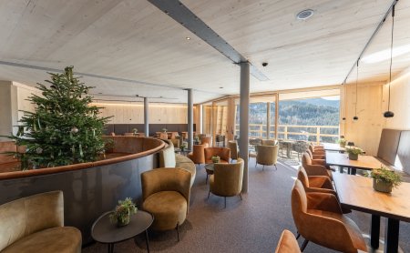 Lounge with armchairs, wooden ceiling and winter view