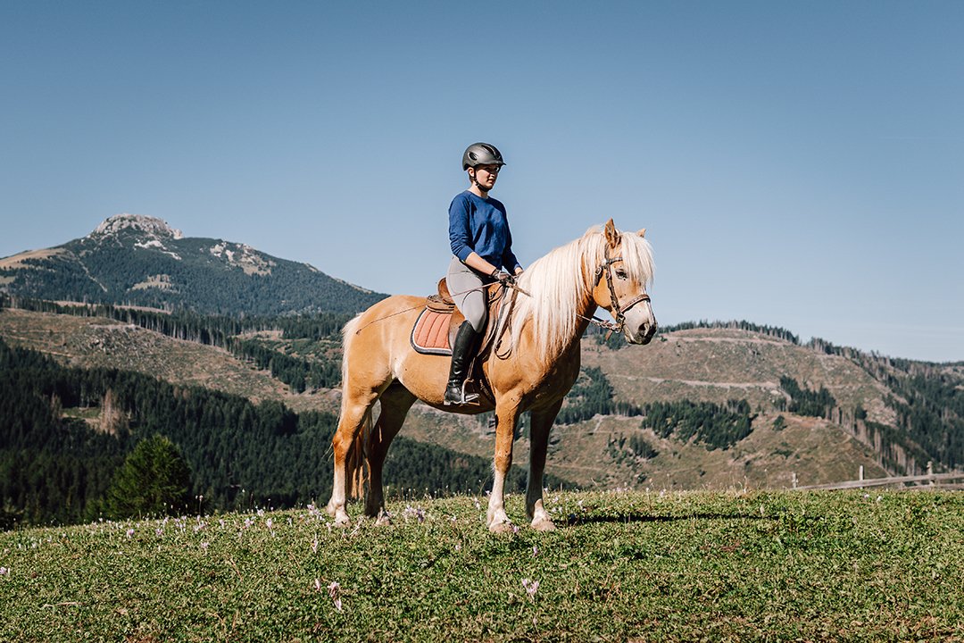 Reiter auf einem blonden Pferd auf einer alpinen Wiese