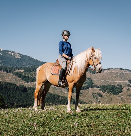 Reiter auf einem blonden Pferd auf einer alpinen Wiese