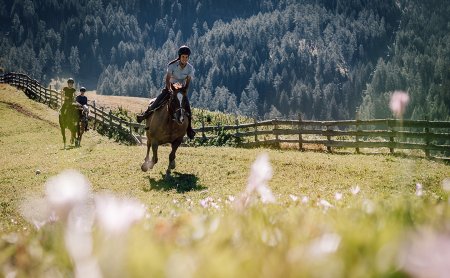 Cavalieri che galoppano su un prato fiorito in montagna