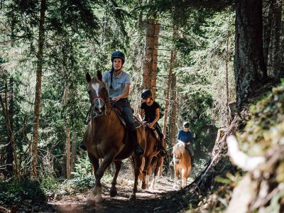 Reiter, die im Wald reiten