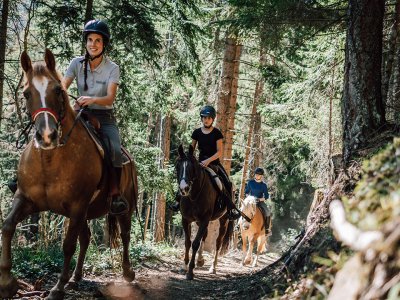 Reiter, die im Wald reiten