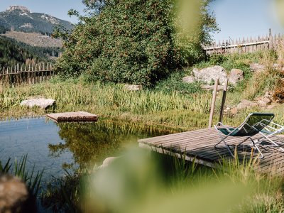 Lettini su pontile in legno presso laghetto con recinto e sfondo montano