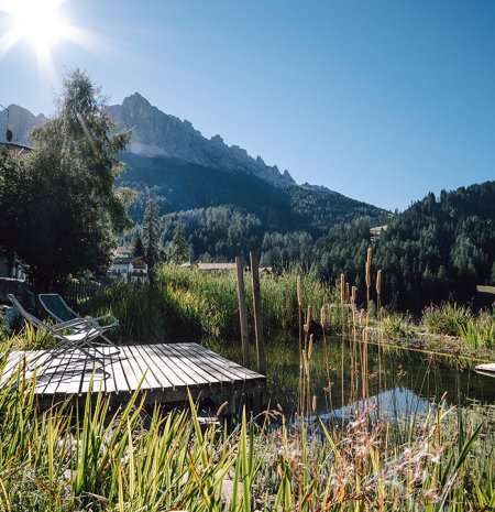 Steg mit Liegen am Naturteich vor sonniger Bergkulisse