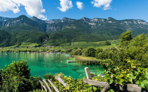 Lago verde con molo in legno, vigneti e montagne sullo sfondo