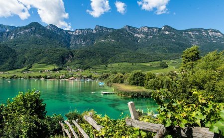 Grüner See mit Holzsteg, Weinreben und Bergen im Hintergrund