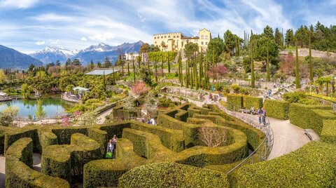 Grünes Labyrinth in den Gärten von Schloss Trauttmansdorff in Meran