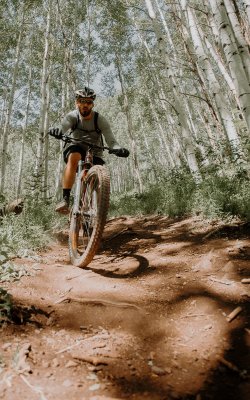 Mountainbiker fährt auf Wurzelpfad durch lichten Birkenwald