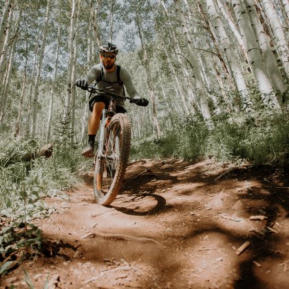 Mountainbiker fährt auf Wurzelpfad durch lichten Birkenwald