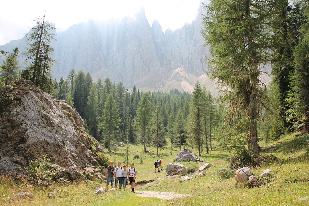 Wanderer auf einem Bergpfad zwischen Bäumen und Felsen