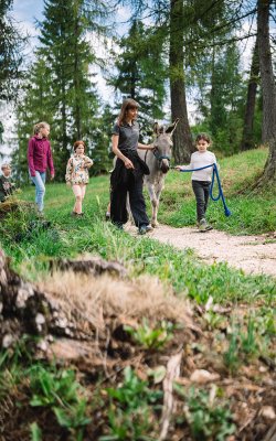 Frau und Kind führen Esel auf Waldweg, weitere Kinder folgen auf grünem Pfad
