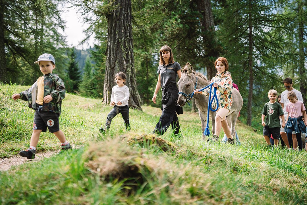Kinder und Erwachsene wandern im Wald, ein Mädchen führt einen Esel an einem blauen Seil