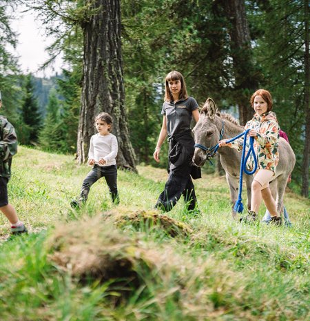 Kinder und Erwachsene wandern im Wald, ein Mädchen führt einen Esel an einem blauen Seil