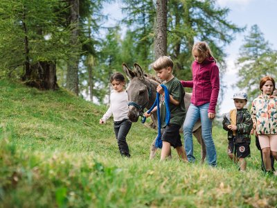 Kinder führen einen Esel auf einem grasbewachsenen Waldweg mit Bäumen im Hintergrund