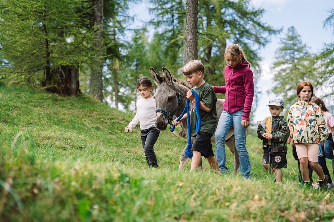 Kinder führen einen Esel auf einem grasbewachsenen Waldweg mit Bäumen im Hintergrund