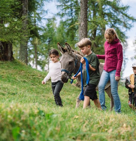 Kinder führen einen Esel auf einem grasbewachsenen Waldweg mit Bäumen im Hintergrund