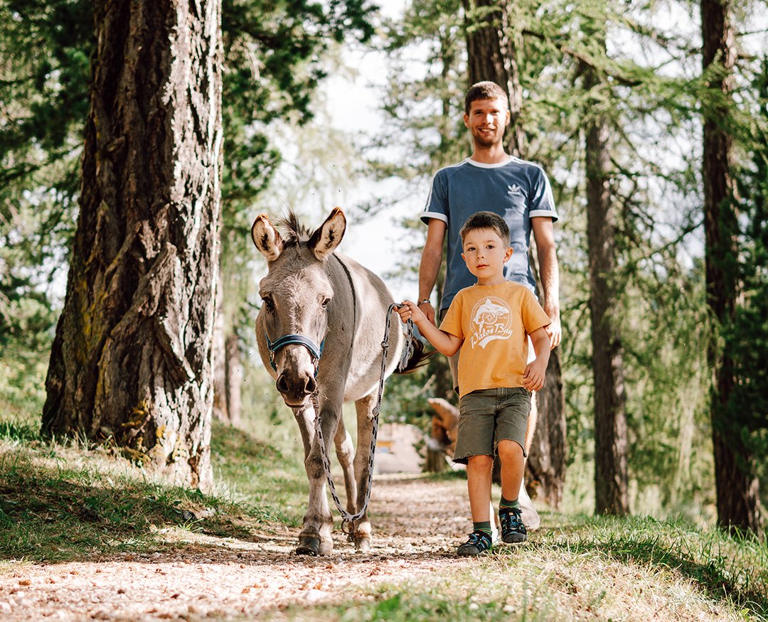 Kleiner Junge mit Mann führt einen Esel auf einem Waldweg.