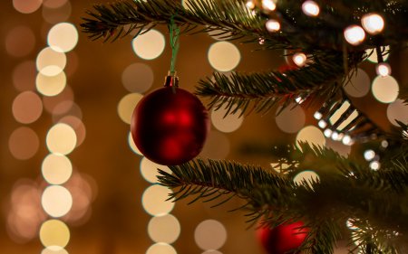 Nahaufnahme eines Weihnachtsbaums mit roten Kugeln und Lichterketten im Hintergrund