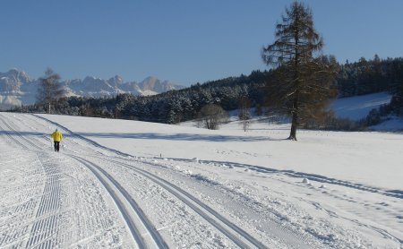 Langläufer in gelber Jacke auf verschneiter Loipe mit Bergkulisse.