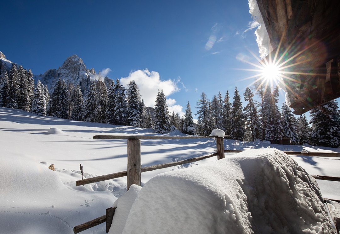 Verschneite Landschaft mit Sonne, Bäumen und Holzzaun.