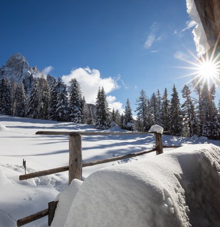 Verschneite Landschaft mit Sonne, Bäumen und Holzzaun.
